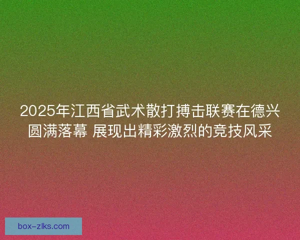 2025年江西省武术散打搏击联赛在德兴圆满落幕 展现出精彩激烈的竞技风采